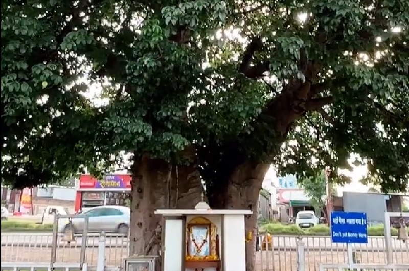 Shree Sai Kalpavriksha near Shirdi